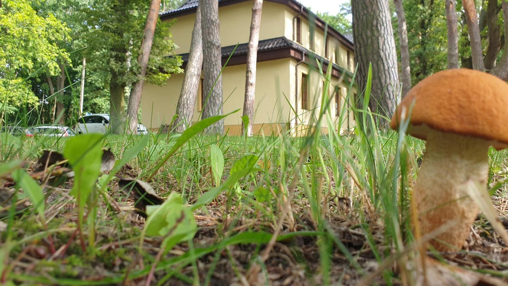 Villa Toskana Pogorzelica  Exterior foto